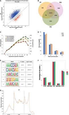 Transcriptome-Wide m6A Methylation in Skin Lesions From Patients With Psoriasis Vulgaris